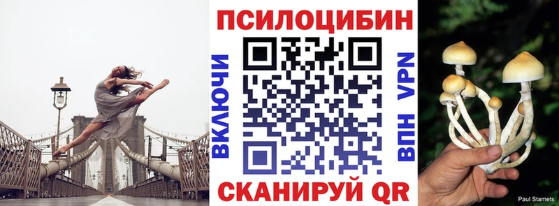 Галлюциногенные грибы MAGIC MUSHROOMS  Купить  Катав-Ивановск 